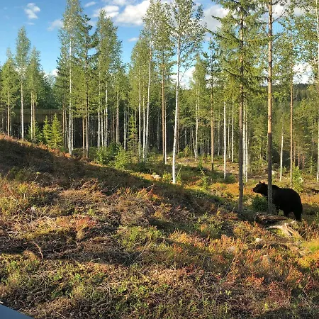 Bear Centre Daire *