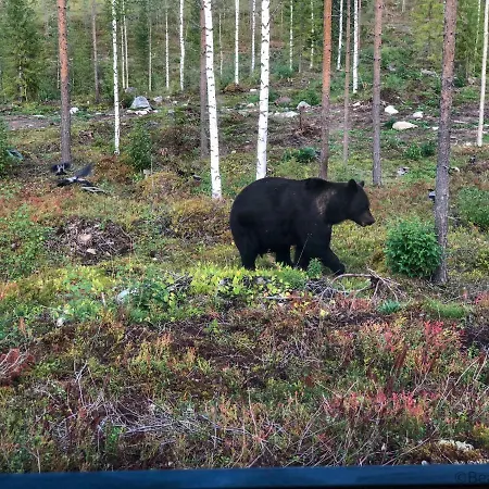 Bear Centre Vartius